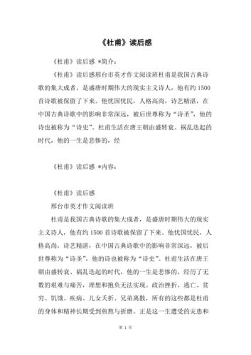 高中课文杜甫的读后感（高中课文杜甫的读后感300字）